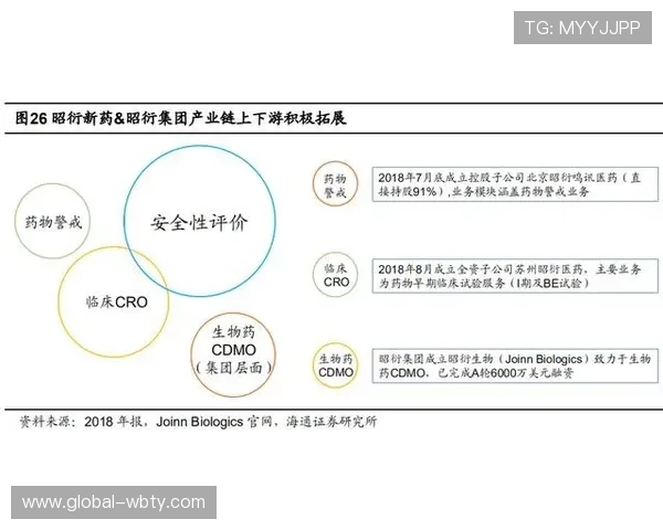 万博这个网站如何盈利：详细解读其收入来源与市场竞争优势
